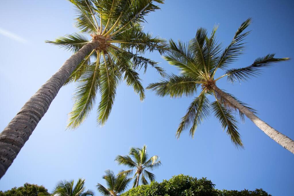 Airlie Sun & Sand Motel Accommodation #4 埃尔利海滩 外观 照片